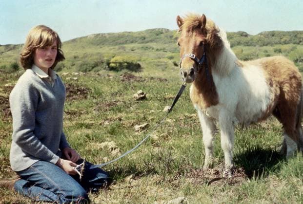 Diana Spencer and her pony 2002394 Diana Spencer and her pony; (add.info.: Future princess of Wales Diana in Scotland, 1974. Here with her Shetland pony called Souffle, during summer 1974). Copyright: xBridgemanxImagesx 2002394