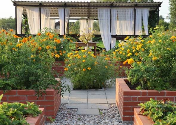 IMAGO Creative: Garten, Anbau im Hochbeet gartenhaus,gartengestaltung,hochbeet,gartenhäuschen,gartenhütte,gartenlaube,laube,gartenkunst,landschaftsgestaltung,landschaftsgärtnerei,beet ** garden house,landscape gardening,raised bed,pavilions,raised beds 4pk-g3j
