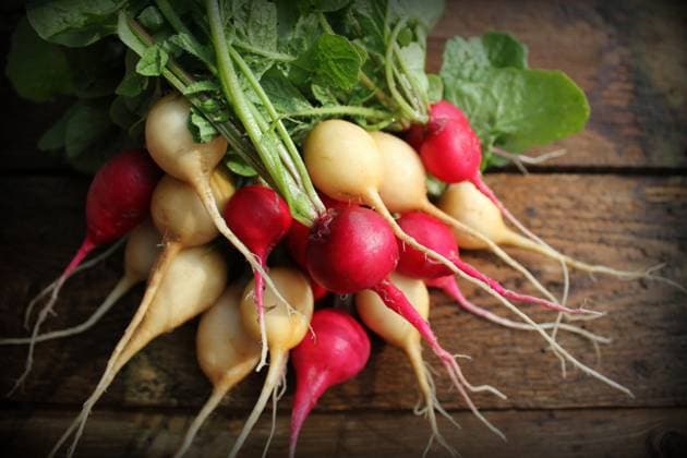 IMAGO Creative, Sommer, Food, Radieschen radieschen ** radish,radishs 4pk-g68
