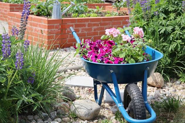 garten,blumen,schubkarre,einpflanzen,gartenanlage,gartenanlagen,gärten,blume,karette,karetten,robbern,scheibtruhe,scheibtruhen,schiebetruhe,schiebetruhen,schubkarren,anpflanzen,bewirtschaften,einsetzen,implantieren,kultivieren,pflanzen ** garden,flowers,wheelbarrow,planting,gardens,flower,flower valentain,wheelbarrows,grafting 4pk-g8z