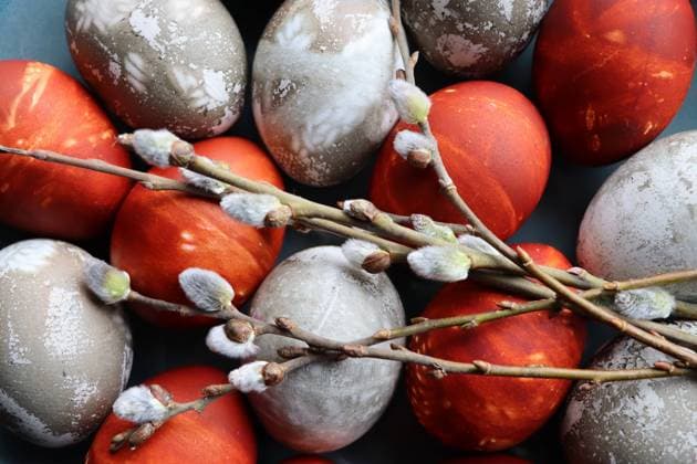 osterei,weidenkätzchen,ostereier,blütenkätzchen,kätzchen,palmkätzchen,weidenblüte,weidenblüten,weidenkätzchenblüte,weidenkätzchenblüten ** easter egg,pussy willow,easter eggs,pussy willows 4pk-gel