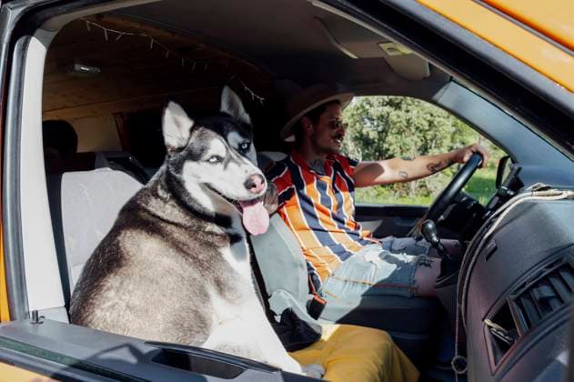 junger mann,sommer,hund,verreisen,campingbus,mann,sommerlich,hunde,reise,reisen,bus,camping,fahrzeug ** young man,summer,dog,travel,campervan,guy,man,men,young,summers,dogs,travels,campervans,caravan,caravans,mobile home,motor home,motorhome,motorhomes 539-lhk ,model released, Symbolfoto