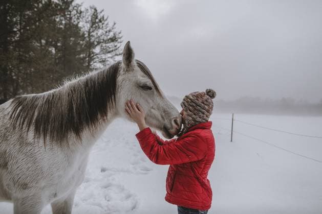 Creative Highlights Symbolbilder Teen girl in red jacket and hat kissing horse on nose in the winter Fall Creek, Wisconsin, United States R_MECL211210C-882566-01 ,model released, Symbolfoto ,property released