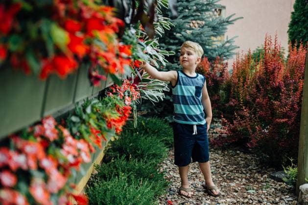 Creative Highlights Symbolbilder Young boy standing in garden surrounded by tropical plants United States, South Dakota, Keystone CR_KIFR240402-1377252-01 ,model released, Symbolfoto
