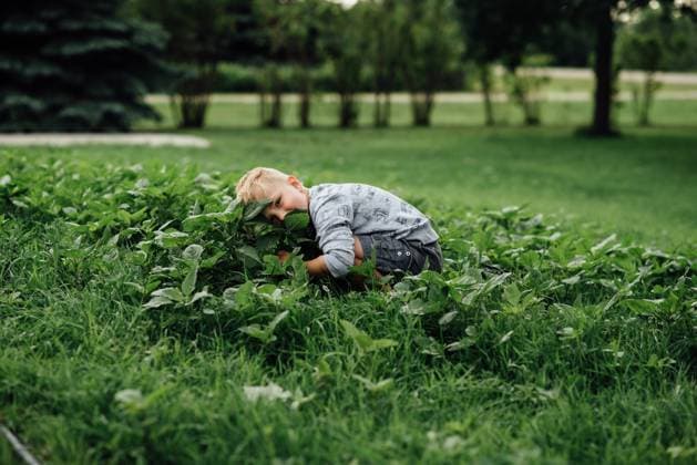Creative Highlights Symbolbilder Young boy hiding in weeds in yard in the summer United States, North Dakota, Bismarck CR_KIFR240402-1377268-01 ,model released, Symbolfoto