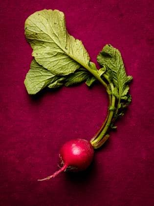 IMAGO Creative, Sommer, Food, Radieschen radieschen ** radish,radishs 539-n32