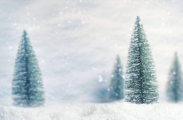 winter,schnee,tannenbaum,winterlich,abies,nadelbaum,nadelbäume,tanne,tannen,tannenbäume ** winter,snow,christmas tree,winters,snowy,christmas trees ly0-nq2