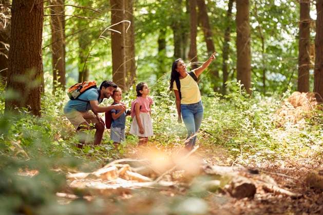 wald,entdeckung,familie,kinder,wälder,entdecken,familien,kids,kind ** forest,discovery,family,children,forests,wood,woodland,woods,detection,discover,discoveries,unveiling,families,childs,kid,kids mmq-13yo ,model released, Symbolfoto