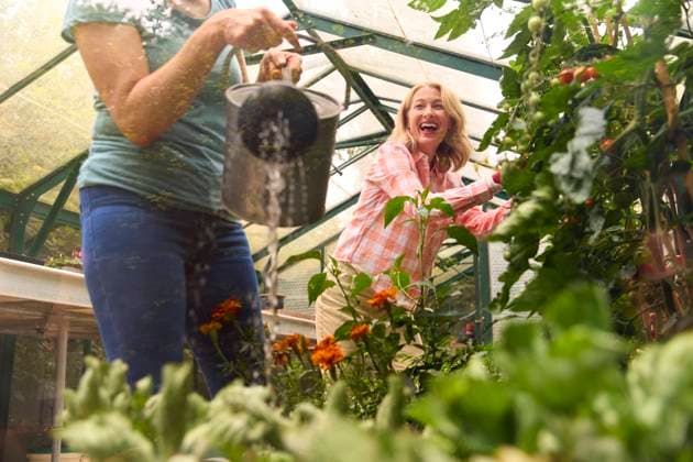 IMAGO Creative: Garten, Anbau im Gewächshaus gartenarbeit,gewächshaus,gießen,freundinnen,gärtnern,gewächshäuser,treibhaus,treibhäuser,befreundet,freund,freunde,freundin,freundschaft ** gardening,greenhouse,watering,friends,plant care,tending of plants,greenhouses,friend mmq-146g ,model released, Symbolfoto