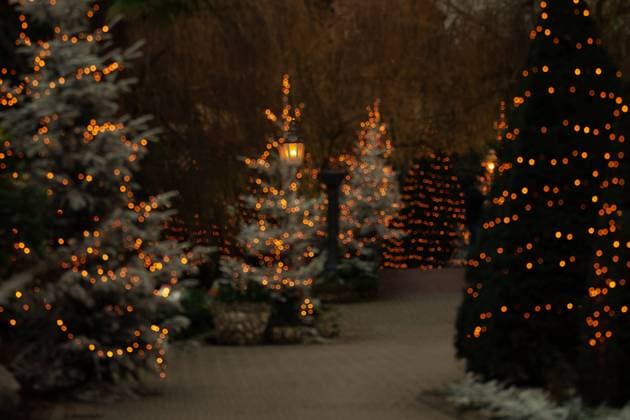 unschärfe,lichter,weihnachtsbaum,unscharf,licht,christbaum ** defocused,lights,christmas tree,blur,blured,blurred motion,blurring,defocuseds,light,christmas trees fta-gur