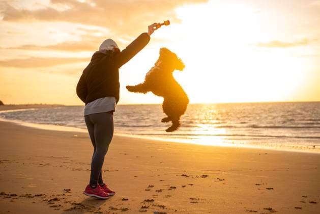MR_ID20265_16720_AnaLopezBernal.jpg Woman playing with a joyful dog on a sandy beach during a golden sunset Model Released FranAlfonseca_ID20265_599278_003 Copyright: xFranxAlfonsecax