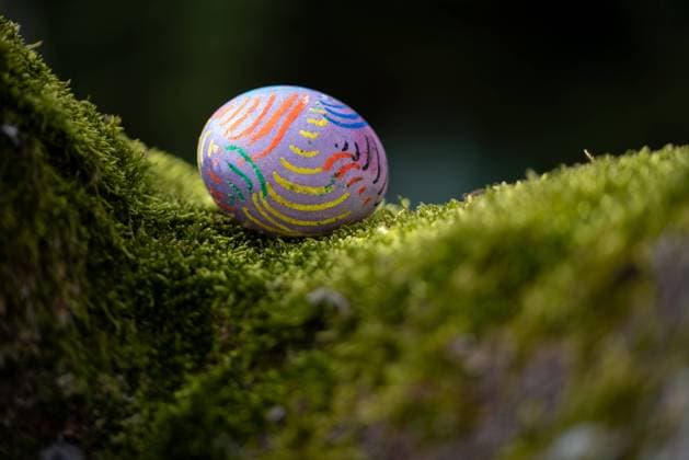 Painted colourful Easter egg lying on moss in a tree fork, Germany, Europe Painted colourful Easter egg lying on moss in a tree fork, Germany, Europe *** Painted COLOURFUL Easter Egg Lying ON Moss in a Tree fork, Germany, Europe Painted COLOURFUL Easter Egg Lying ON Moss in a Tree fork, Germany, Europe Copyright: imageBROKER StephanxSchulz iblsns10409570.jpg