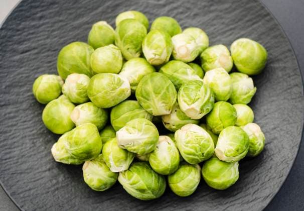 Rosenkohl, Rosen-Kohl, Bruesseler Kohl (Brassica oleraceae var. gemmifera), auf einem Teller Brussel sprouts (Brassica oleraceae var. gemmifera), on a plate BLWS707294 *** Brussels sprouts, Roses Cabbage, Brussels Kohl Brassica oleraceae Var gemmifera , at a Plate Brussel sprouts Brassica oleraceae Var gemmifera , ON a Plate BLWS707294 Copyright: xblickwinkel Steidix