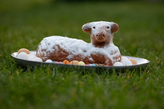 A cake dusted with icing sugar shows an Easter lamb surrounded by eggs on a plate, Germany, Europe A cake dusted with icing sugar shows an Easter lamb surrounded by eggs on a plate, Germany, Europe *** a Cake dusted With icing Sugar Shows to Easter Lamb surrounded by Eggs ON a plate, Germany, Europe a Cake dusted With icing Sugar Shows to Easter Lamb surrounded by Eggs ON a plate, Germany, Europe Copyright: imageBROKER StephanxSchulz ibxsns10413313.jpg