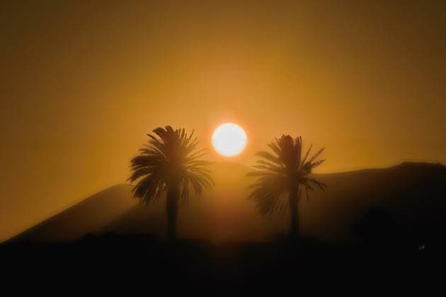 Backlit shot, sunset mood with two palm trees and the sun between Backlit shot, sunset mood with two palm trees and mountains in the background. of the Timanfaya Mountains on the Canarian volcanic island of Lanzarote Very southern ambience in warm gold colors. Copyright: xZoonar.com AkimaxFuturax 20691997