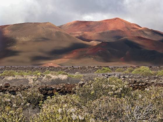 Lanzarotelandschaft mit Blick auf das Timanfayagebirge Landschaft im Westen von Lanzarote mit Blick auf die Berge von Timanfaya am Spätnachmittag. Im Vordergrund eine Ebene mit blühenden Fingerbüschen und Tabaiben. Copyright: xZoonar.com AkimaxFuturax 20692003