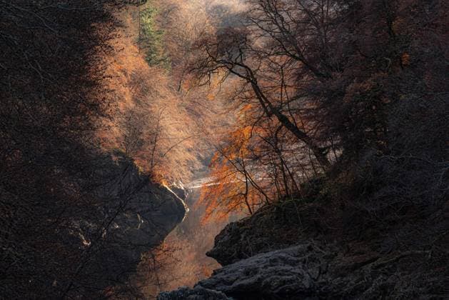 Trees on the banks of River Garry Pitlochry, Scotland, United Kingdom R_GQCECM211209D-880711-01