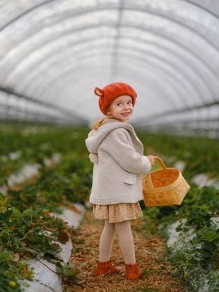 Creative Highlights Symbolbilder little girl collects strawberries on a farm Belgrade, City of Belgrade, Serbia CR_OLSA240406-1210835-01 ,model released, Symbolfoto