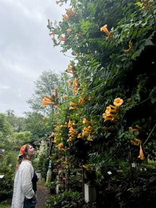 Creative Highlights Symbolbilder Admiring vibrant flowers in a serene garden United States, New York, Kerhonkson R_NHDH24040710-1385008-01 ,model released, Symbolfoto