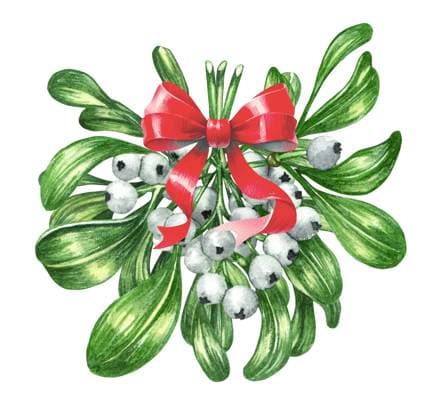 Watercolor Floral Mistletoe twig with a bow. Christmas wreath traditional decoration Watercolor Floral Mistletoe twig with a bow. Christmas wreath traditional decoration. Copyright: xZoonar.com LiubovxPonomarchukx 21024063