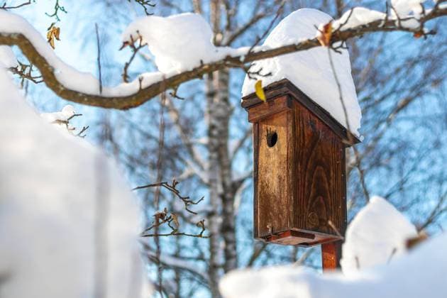 wooden birdhouse in winter, snow covered bird house wooden birdhouse in winter, snow covered bird house for starlings Copyright: xZoonar.com RomanxKýbusx 21088570