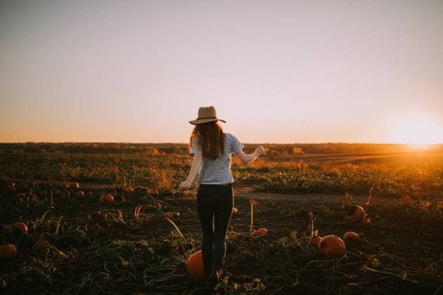 Creative Highlights Symbolbilder Young redhead woman in a hat runs in a pumpkin patch at sunset Cambridge, Iowa, United States CR_TLGH240408-1385789-01 ,model released, Symbolfoto