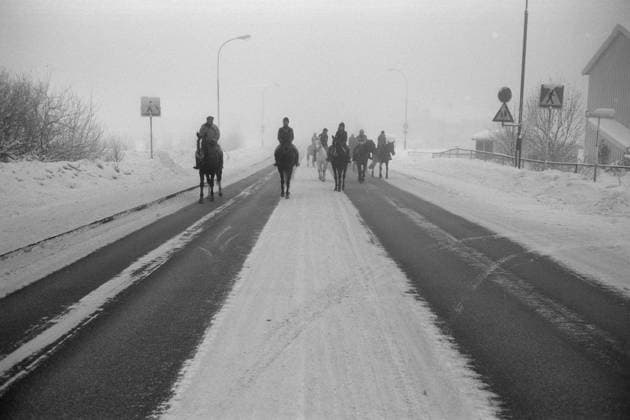 Aktuell 50-1-1973 : Den store stille helgen bilde 0022 Aktuell 50-1-1973 : Den store stille helgen Oljekrisen i 1973, det skulle spares 7500 tonn bensin ved kjoreforbudet fra kl, 15 lordag til kl. 02 mandag. -til og med hesten dukket fram, riktignok mest som et kuriosium. Dette bildet er fra Tveita i Oslo. Foto; Ivar Aaserud Aktuell NTB ***FOTO IKKE BILLEDBEHANDLET*** This text has been automatically translated! Oslo Norge EDITORIAL USE ONLY Ref:mniy4OOTLU0.jpg *** Aktuell 50 1 1973 The big quiet weekend picture 0022 Aktuell 50 1 1973 The big quiet weekend The oil crisis in 1973, 7500 tons of gasoline was to be saved by the ban on driving from 15 