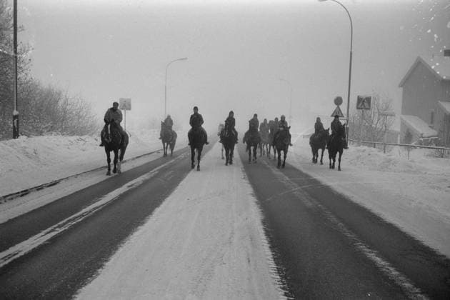 Aktuell 50-1-1973 : Den store stille helgen bilde 0058 Aktuell 50-1-1973 : Den store stille helgen Oljekrisen i 1973, det skulle spares 7500 tonn bensin ved kjoreforbudet fra kl, 15 lordag til kl. 02 mandag. -til og med hesten dukket fram, riktignok mest som et kuriosium. Dette bildet er fra Tveita i Oslo. Foto; Ivar Aaserud Aktuell NTB ***FOTO IKKE BILLEDBEHANDLET*** This text has been automatically translated! Oslo Norge EDITORIAL USE ONLY Ref:P17G65hq4lg.jpg *** Aktuell 50 1 1973 The big quiet weekend picture 0058 Aktuell 50 1 1973 The big quiet weekend The oil crisis in 1973, 7500 tons of gasoline were to be saved by the ban on driving from 15 