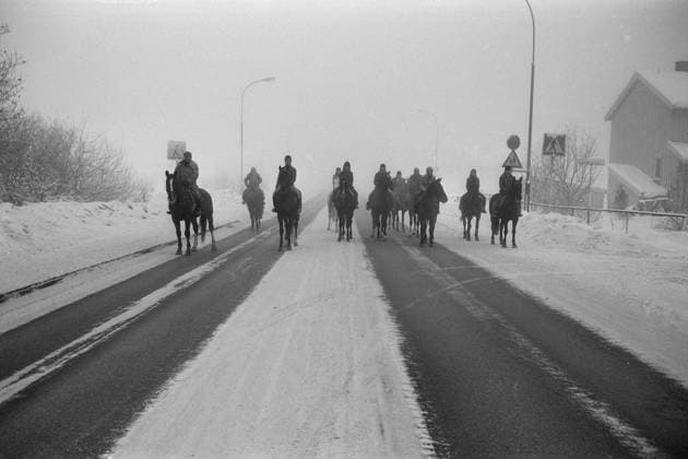 Aktuell 50-1-1973 : Den store stille helgen bilde 0057 Aktuell 50-1-1973 : Den store stille helgen Oljekrisen i 1973, det skulle spares 7500 tonn bensin ved kjoreforbudet fra kl, 15 lordag til kl. 02 mandag. -til og med hesten dukket fram, riktignok mest som et kuriosium. Dette bildet er fra Tveita i Oslo. Foto; Ivar Aaserud Aktuell NTB ***FOTO IKKE BILLEDBEHANDLET*** This text has been automatically translated! Oslo Norge EDITORIAL USE ONLY Ref:xbBMtb1vUN4.jpg *** Aktuell 50 1 1973 The big quiet weekend picture 0057 Aktuell 50 1 1973 The big quiet weekend The oil crisis in 1973, 7500 tons of gasoline were to be saved by the ban on driving from 15 