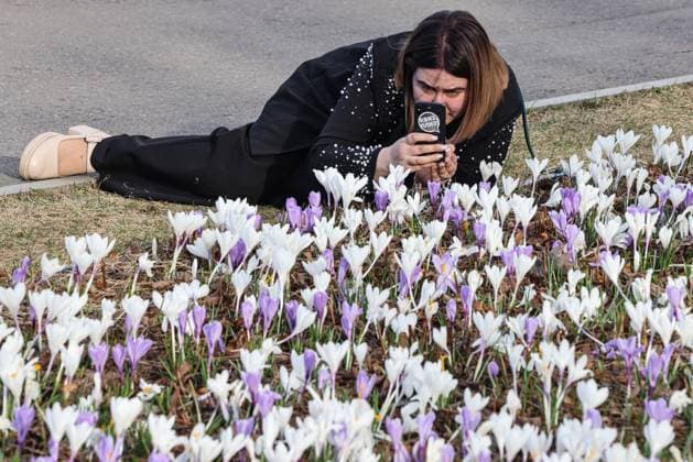 News Themen der Woche KW15 News Bilder des Tages RUSSIA, MOSCOW - APRIL 11, 2024: A girl takes a picture of crocuses in bloom at the VDNKh exhibition centre. Sergei Karpukhin TASS  69003518