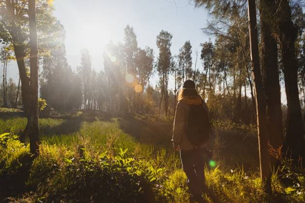 A tranquil morning scene of a hiker trekking through a lush Indonesian forest with the sun casting a warm glow among the trees Model Released PabloMenendez_ID19741_585335_050 Copyright: xPabloxMenendezx RECORD DATE NOT STATED