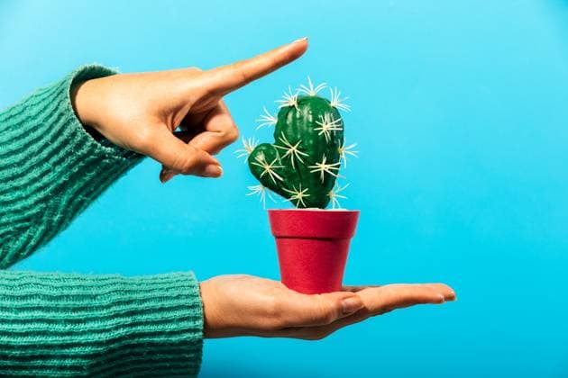 Creative Highlights Symbolbilder A hand in a green sweater balances a red pot with a cactus, against a vibrant blue background, while another hand points at it. Model Released SergioVictorVega_ID20751_612502_013 Copyright: xSergioxVictorxVegax RECORD DATE NOT STATED