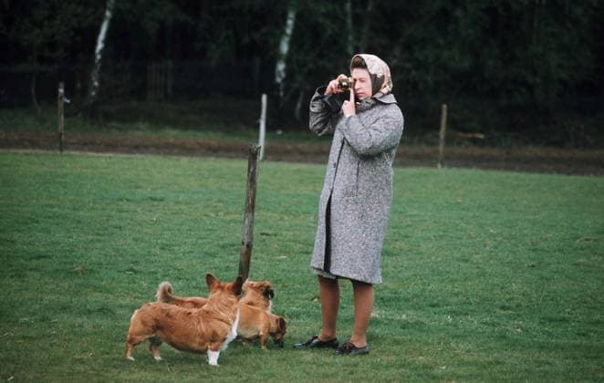 Archivbilder der Woche SPORT KW15 A SELECTION OF IMAGES TO CELEBRATE HM THE QUEEN 80TH BIRTHDAY WHICH FALLS ON 21 APRIL 2006 THE QUEEN IN WINDSOR GREAT PARK PHOTOGRAPHING HER CORGIS. CIRCA 1960 S., Credit:ANWAR HUSSEIN Avalon  Copyright: xANWARxHUSSEINx xAvalonx 0530528932