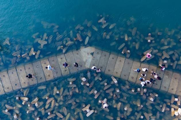 Bilder des Jahres 2024, News 04 April News Themen der Woche KW15 News Bilder des Tages Yangtze River Water Level Fall in Chongqing CHONGQING, CHINA - APRIL 13, 2024 - Tourists play on exposed fish nest bricks as the water level drops along the Yangtze River in Chongqing, China, April 13, 2024. The rocks are actually ecological fish nest bricks, designed to protect the original riverbed and surface when the water level drops during dry periods. Chongqing Chongqing China  Copyright: xCFOTOx i1713102279375