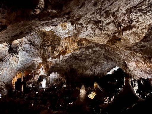 A stunning view inside the Big Room at Carlsbad Caverns, New Mexico. 21652195 RECORD DATE NOT STATED