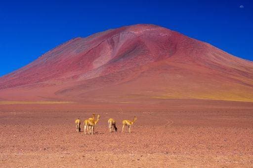 Creative Highlights World Sud Lipez, entre Uyuni et le Chili. 6290437 RECORD DATE NOT STATED