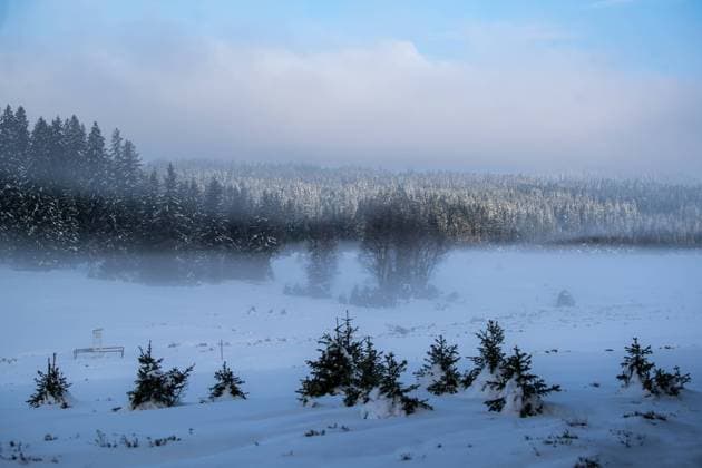 Meteorologists measured minus 10,6 degrees Celsius on the spring morning April 22, 2024 near Kvilda in the Sumava region of Prachatice, which is the one of lowest value in the country today. (CTKxPhoto VaclavxPancer) CTKPhotoP2024042201972  CTKPhotoP2024042201972