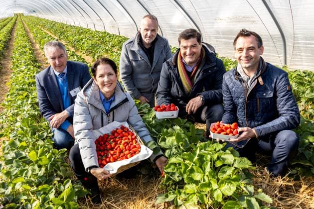 News Themen der Woche KW17 News Bilder des Tages Präsident des Provinzialverbandes Rheinischer Obst- und Gemüsebauer e.V. Georg BOEKELS, NRW Ministerin für Landwirtschaft und Verbraucherschutz Silke GORIßEN (CDU), Bürgermeister Gemeinde Wachtberg Jörg SCHMIDT (CDU), Michael HÄGER (Obstbau Häger) und Jonathan GRUNWALD (MdL, CDU) - Offizielle Eröffnung der Erdbeersaison 2024 in Nordrhein Westfalen. NRW Ministerin für Landwirtschaft und Verbraucherschutz Silke GORIßEN läutet den Saisonstart der Erdbeerernte 2024 gemeinsam mit Georg Boekels, Präsident des Provinzialverbandes Rheinischer Obst- und Gemüsebauer e.V. auf dem Obstbaubetrieb Häger in Wachtberg Fritzdorf ein. 23.04.2024 Wachtberg Fritzdorf NRW Deutschland *** President of the Provinzialverband Rheinischer Obst und Ge Copyright: xBonn.digitalx xMarcxJohnx
