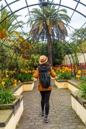IMAGO Creative: Sommer, Sommertage im Stadtpark A woman walking through a beautiful botanical garden, a sustainable tourism concept in Arucas, Gran Canaria. Spain *** a Woman Walking Through a Beautiful Botanical garden, a Sustainable Tourism Concept in Arucas, Gran Canaria Spain Copyright: imageBROKER UnaixHuizi ibxuhu10454531.jpg ,model released, Symbolfoto ,property released