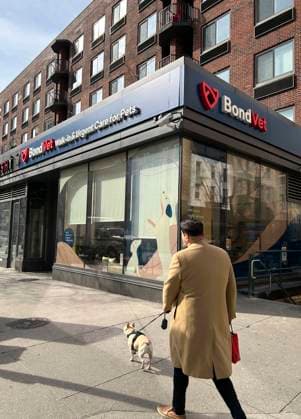 BondVet urgent care for pets, New York City, New York, USA  Copyright: xSpencerxJonesx ghi-plexi00658