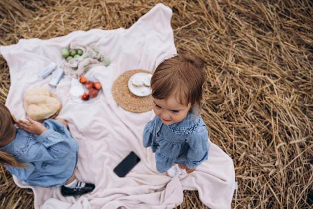 Sisters in denim dresses on picnic blanket model released, Symbolfoto, KANF00042