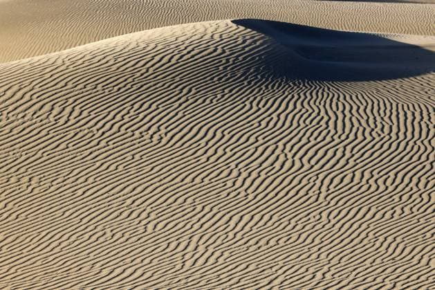 Creative Highlights World Maspalomas Dunes nature reserve, sand dunes in the evening light, Las Palmas province, Gran Canaria, Canary Islands, Spain, Europe *** Maspalomas Dunes Nature reserve, Sand Dunes in The evening light, Las Palmas province, Gran Canaria, Canary Iceland, Spain, Europe Copyright: imageBROKER JustusxdexCuveland ibxuve10495237.jpg