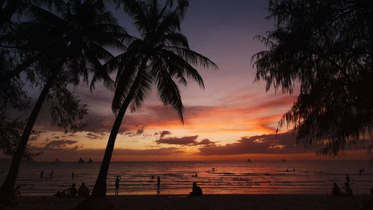 Sunset on beach with people and palms Silhouetted people and palms near sea. Sunset at tropical White beach, Boracay island, Philippines Copyright: xZoonar.com MikhailxKokhanchikovx 21481946