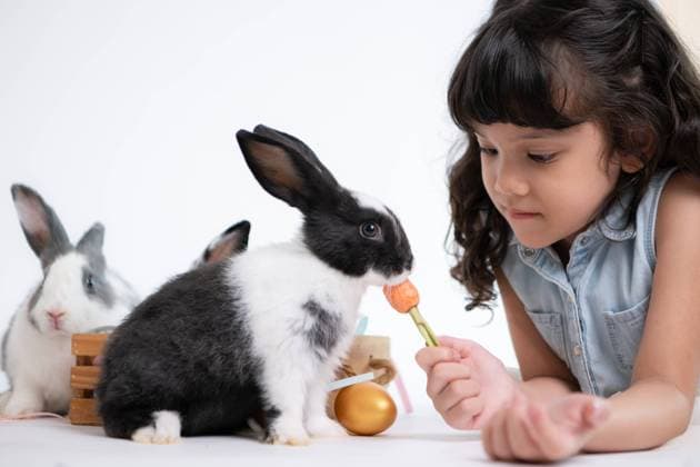 Smiling little girl and with their beloved fluffy rabbit, showcasing the beauty of friendship between humans and animals Smiling little girl and with their beloved fluffy rabbit, showcasing the beauty of friendship between humans and animals ,model released, Symbolfoto Copyright: xZoonar.com WosunanxPhotostoryx 21506427 ,model released, Symbolfoto ,property released