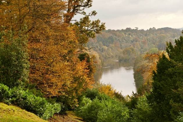 Autumnal colours at Cliveden House, Berkshire Autumnal colours at Cliveden House, Berkshire,  Copyright: xGeoffxSwainex xAvalonx 0540767660