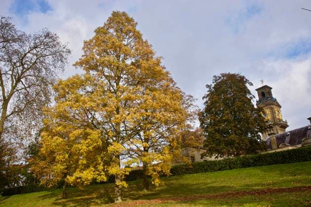 Autumnal colours at Cliveden House, Berkshire Autumnal colours at Cliveden House, Berkshire,  Copyright: xGeoffxSwainex xAvalonx 0540767667