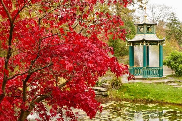 Autumnal colours at Cliveden House, Berkshire Autumnal colours at Cliveden House, Berkshire,  Copyright: xGeoffxSwainex xAvalonx 0540767674
