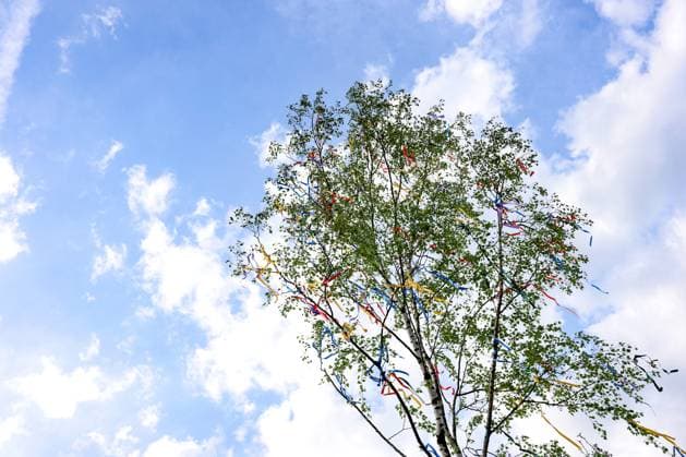 News Themen der Woche KW18 News Bilder des Tages Ein Maibaum wurde in der Ortsmitte in Oberschelden aufgestellt. Oberschelden ist ein Stadtteil von Siegen. Maibaum im Siegerland am 30.04.2024 in Siegen Deutschland. *** A maypole was erected in the center of Oberschelden Oberschelden is a district of Siegen Maypole in Siegerland on 30 04 2024 in Siegen Germany