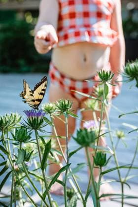 IMAGO Creative: Sommer, Sommertage im Garten Toddler discovers butterfly on thistle in garden McClure, Illinois, United States CR_WEKW240429C-1417828-01 ,model released, Symbolfoto