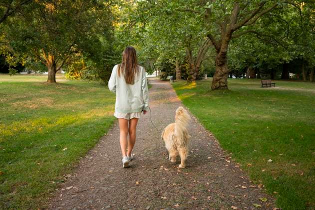 IMAGO Creative: Sommer, Sommertage im Stadtpark Girl taking her dog on a walk through the park Seattle, Washington, United States R_JANERG211123-868895-01 ,model released, Symbolfoto ,property released